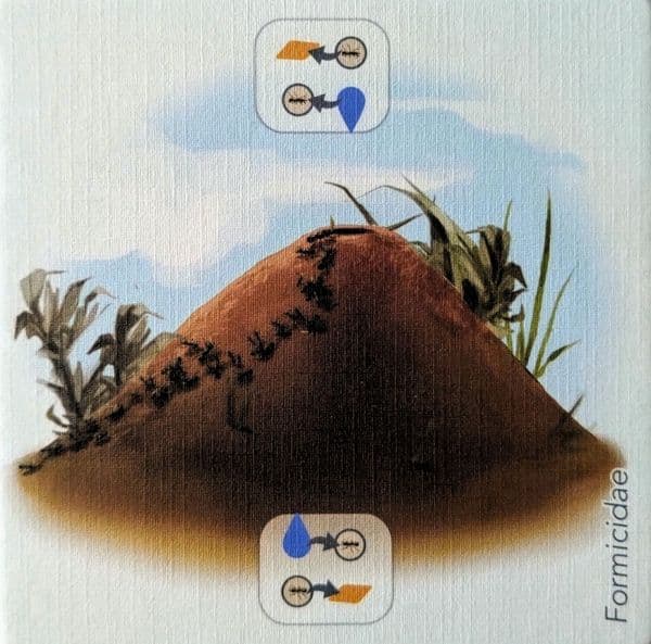 Petrichor: Anthill Promo Tile