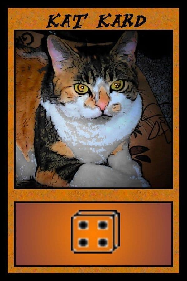 Cats in a Box: A Game of Feline Photography