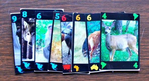 Menagerie Mogul