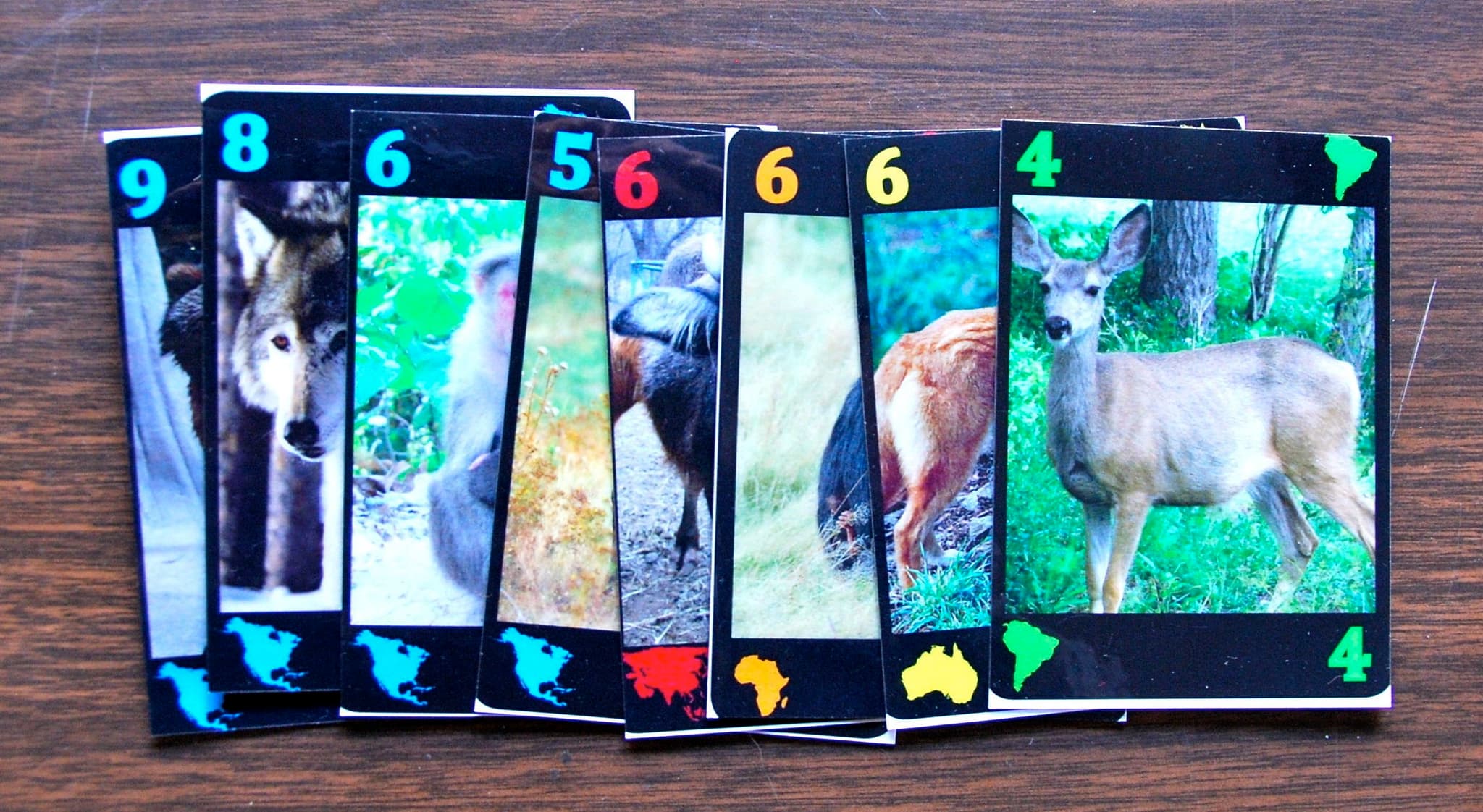Thumbnail