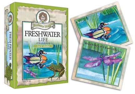 Professor Noggin's Freshwater Life in North America