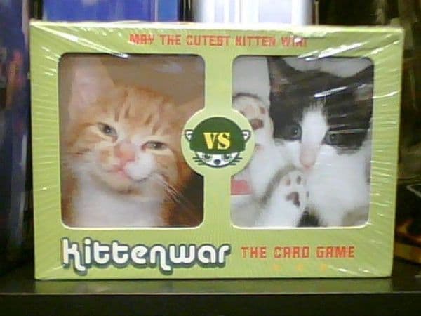 Kittenwar