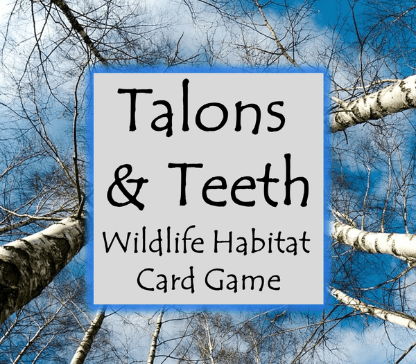 Talons & Teeth